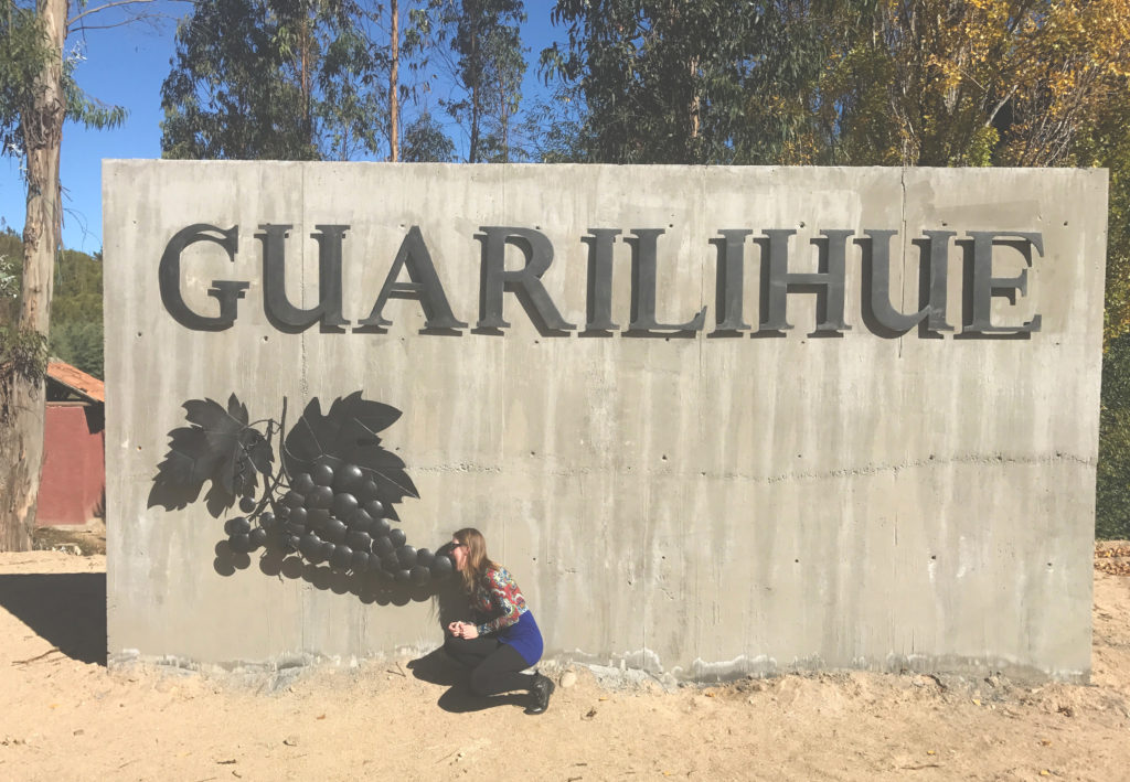 Guarilihue-grapes Kendal